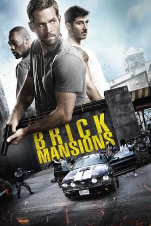 Brick Mansions (2014) Hindi Dual Audio [950MB]