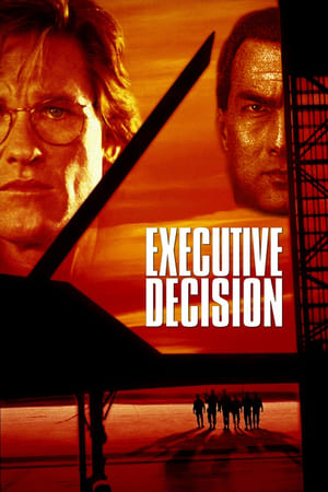 Executive Decision (1996) Hindi Dual Audio [1GB]