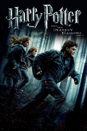Harry Potter and the Deathly Hallows 2010 – Part 1 Hindi Dubbed [1.0GB] Download