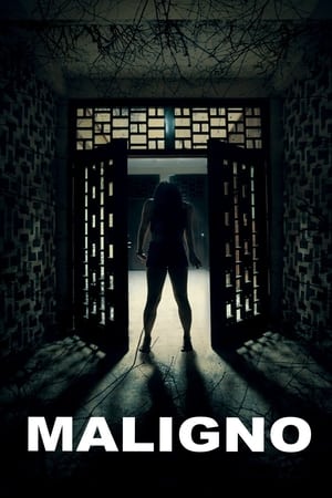Maligno (2016) Hindi Dual Audio 300MB