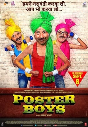 Poster Boys 2017 Movie Download - 1.1GB