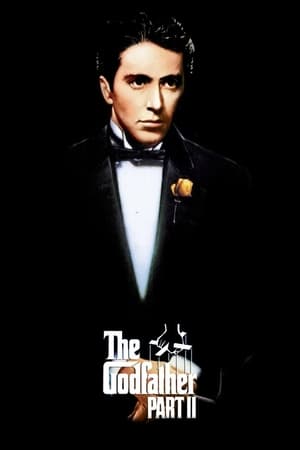The Godfather Part II (1974) Dual Audio Hindi Full Movie - 1GB